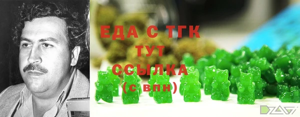 мдма Инта