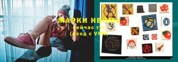 прущая мука Инсар