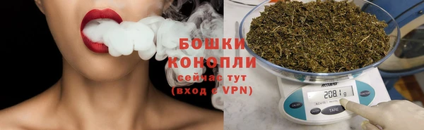 прущая мука Инсар