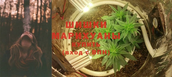прущая мука Инсар