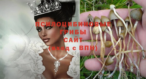 прущая мука Инсар