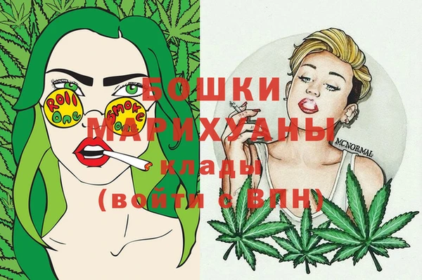 прущая мука Инсар