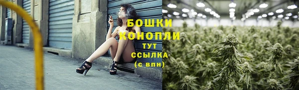 прущая мука Инсар