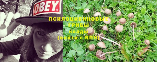 кристаллы Иннополис